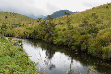 Horton Plains national park, Sri Lanka