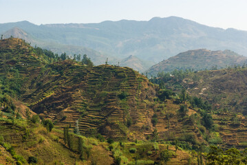 Naklejka premium Tropical mountain landscape in rural Sri Lanka