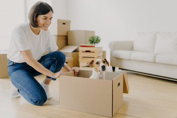 Fototapeta na wymiar Woman dressed in white t shirt and jeans, plays with pedigree dog, moves carton box with animal, pose in living room, buy first new property