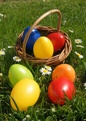 Ostereier auf einer Wiese