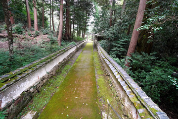 宮川神社 参道俯瞰 苔むした地面 築地塀 森林 鳥居、京都府亀岡市宮前町宮川神尾山２、2021/9/12