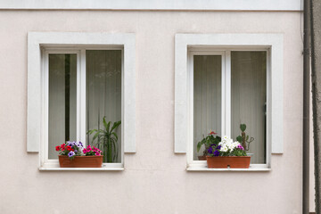 Flower in pots on the windows of the house.
