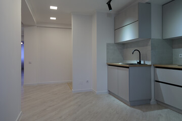 Modern kitchen interior in apartment buildings.