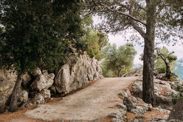 den Weg entlang wandern im Tramuntana Gebirge auf Mallorca mit Felswänden und Pinien