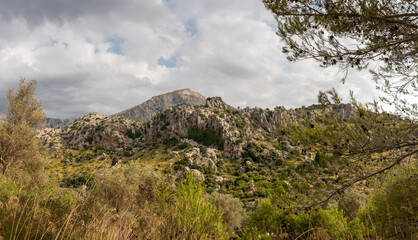Fototapeta na wymiar Tramuntana Gebirge auf Mallorca mit Felsen und Pinienwald in Spanien