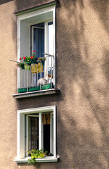Okna na świat, okno balkonowe, parapet, kwiaty, atmosfera, pies, nowa huta, stary blok, PRL, lato,...