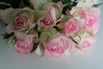pink roses bouquet