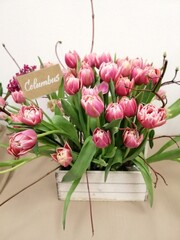 beautiful arrangement of pink tulips in wooden box.Tulip Columbus.  first spring blooming flowers