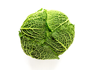 Fototapeta premium Savoy cabbage isolated on a white background