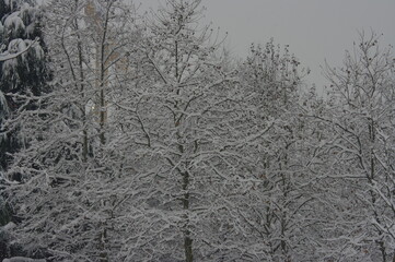 Nevicata in città