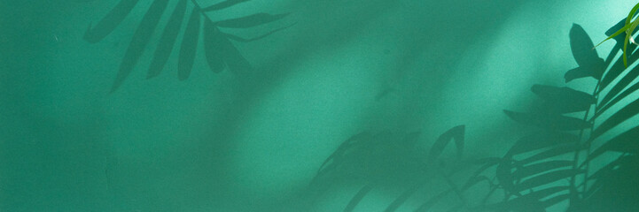 Minimal product display