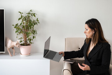 Business woman. A business woman works freelance on a laptop and uses a smartphone.