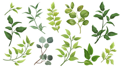 Set green leaves. Decorative beauty element illustration for design leaf in watercolor style. To be used for wedding and invitations 