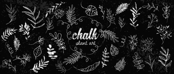 Chalk plant art set. Individual design elements for your own project. Great effect structure. Hand drawn colorful chalk plant set - universally usable. Hand drawn lines and elegant leaves.