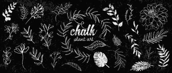 Chalk plant art set. Individual design elements for your own project. Great effect structure. Hand drawn colorful chalk plant set - universally usable. Hand drawn lines and elegant leaves.