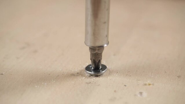 Close up of drilling into wood with screw twisted into place. Cordless drill