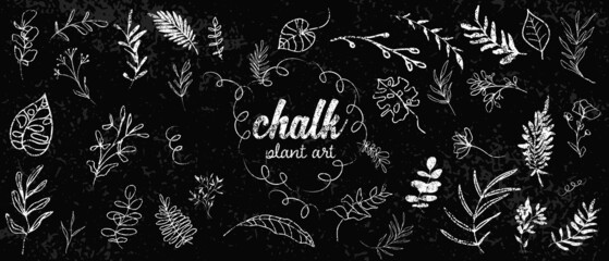 Chalk plant art set. Individual design elements for your own project. Great effect structure. Hand drawn colorful chalk plant set - universally usable. Hand drawn lines and elegant leaves.