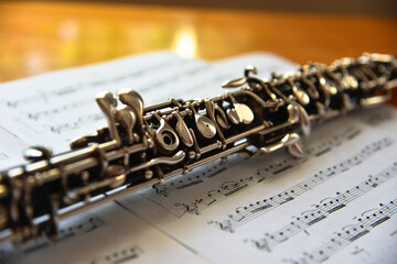 Oboe, classical woodwind musical instrument - obrazy, fototapety, plakaty