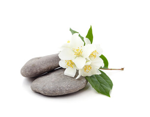 Fototapeta na wymiar White jasmine with pebbles.