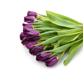 Bouquet beautiful tulips.