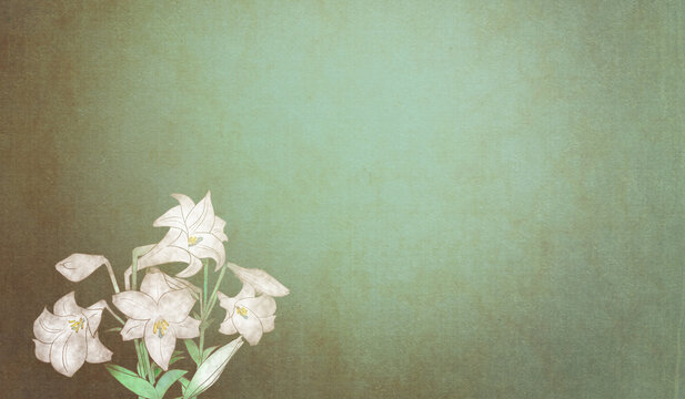 白百合images Browse 416 Stock Photos Vectors And Video Adobe Stock