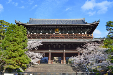 春の京都市知恩院の国宝三門