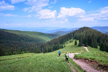 Fototapeta na wymiar Summer in the Carpathian Mountains. Beautiful landscape with green valley and pathway in forest.