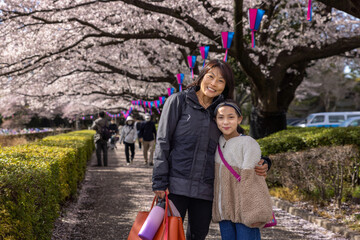 Obraz premium Mother and daughter enjoy cherry blossoms in Japan