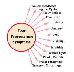 Threteen  Symptoms of Low Progesterone