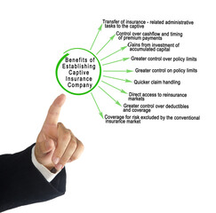  Benefits of Establishing a Captive Insurance Company