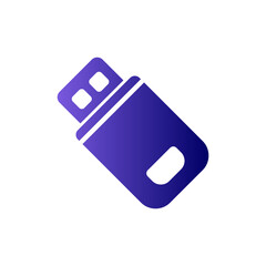 Flash Drive Icon