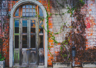 Fototapeta na wymiar Old wooden door with orange brick walls and ivy.