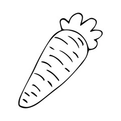 carrot doodle icon vector black vegetable