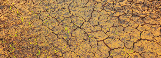 texture desert drought background abstract earth cracked warming global