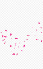 Red Peach Beauty Vector Transparent Background.