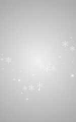 Gray Snow Vector Gray Background. magic Snowfall