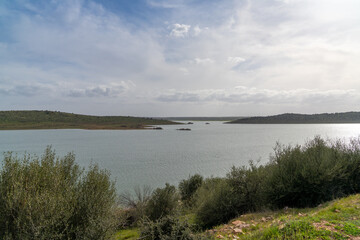 calm large lake with green bushes and vegetation under an overcast sky