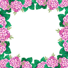 Watercolor frame of pink hydrangea flowers with green leaves