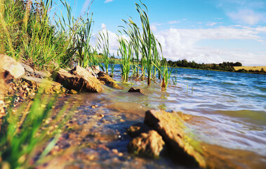 Obraz premium Water surface. The texture of the water. Waves on the lake in windy weather.
