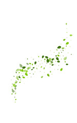 Forest Leaf Abstract Vector White Background.