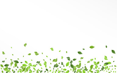 Lime Foliage Motion Vector White Background