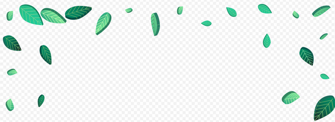 Swamp Leaf Forest Vector Panoramic Transparent