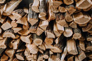 Logs chopped with an ax, dry acacia firewood, spruce for heating lie in a row close-up in the forest.