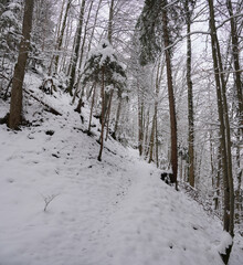 Spaziergang Mühltal im April