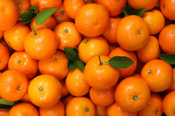 oranges, healthy fruit, mandarin oranges, vitamin C, many oranges background