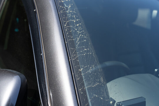 砂埃 Images Browse 165 Stock Photos Vectors And Video Adobe Stock