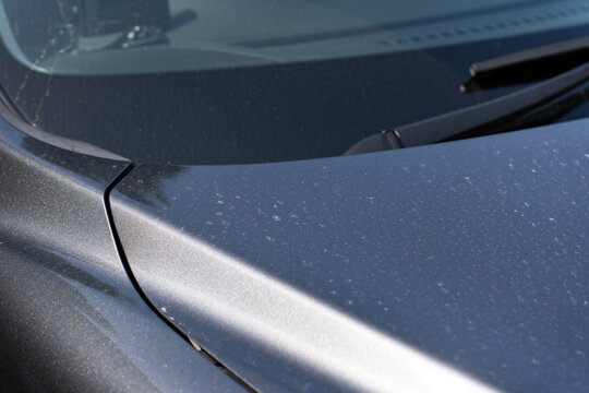 砂埃 Images Browse 166 Stock Photos Vectors And Video Adobe Stock