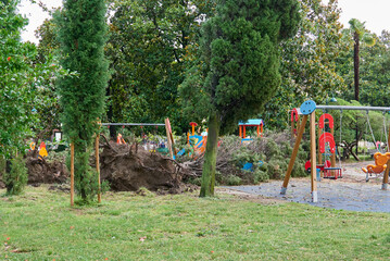Fototapeta na wymiar climate change, trees come down on children's playground during summer storm