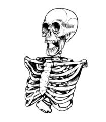 Hand drawn vector sketch of human skeleton - 496638034