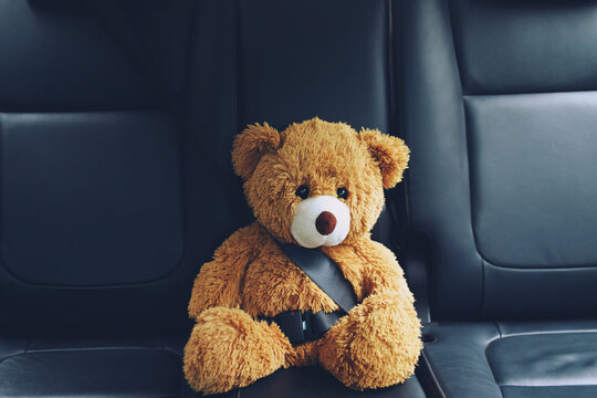 Brown teddy bear wearing car seat belt